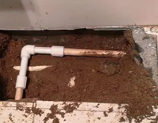 汝南测漏水哪家好