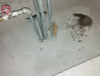 汝南卫生间测漏水价格明细