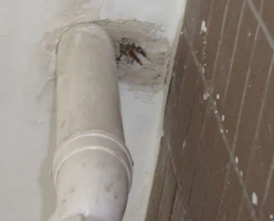 汝南漏水检测哪家好